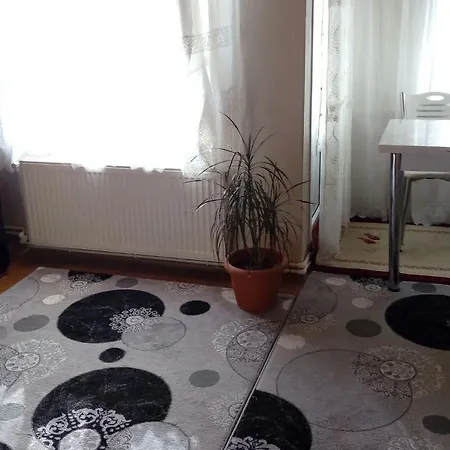 Apartment Yenibosna *